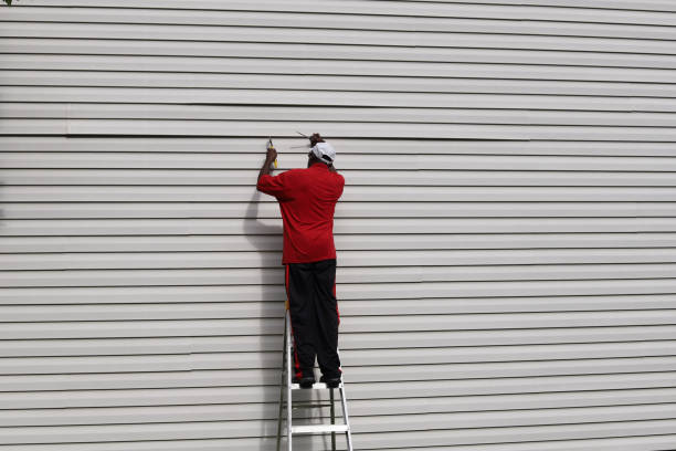 Best Stone Veneer Siding  in Englewood, OH